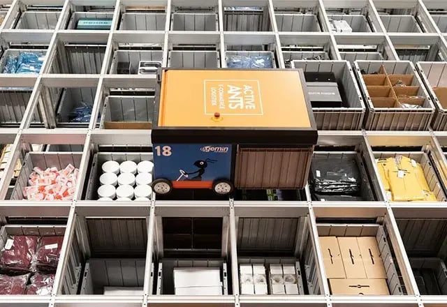 Active Ants Case study