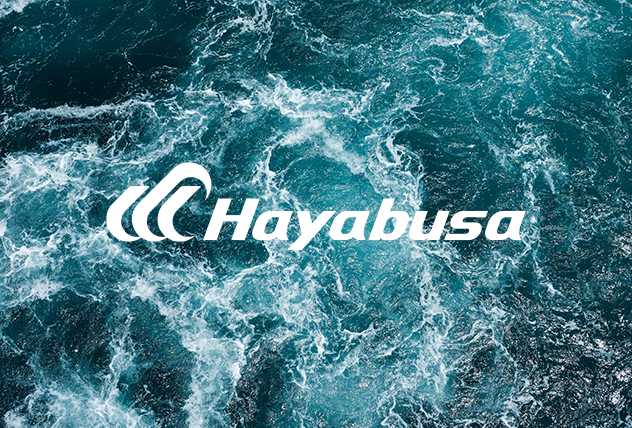 Hayasbusa Case Study