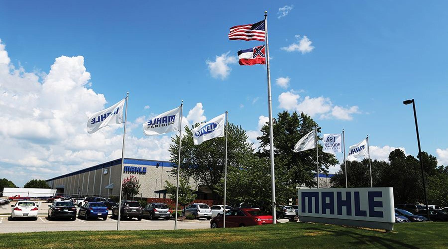 Mahle 1