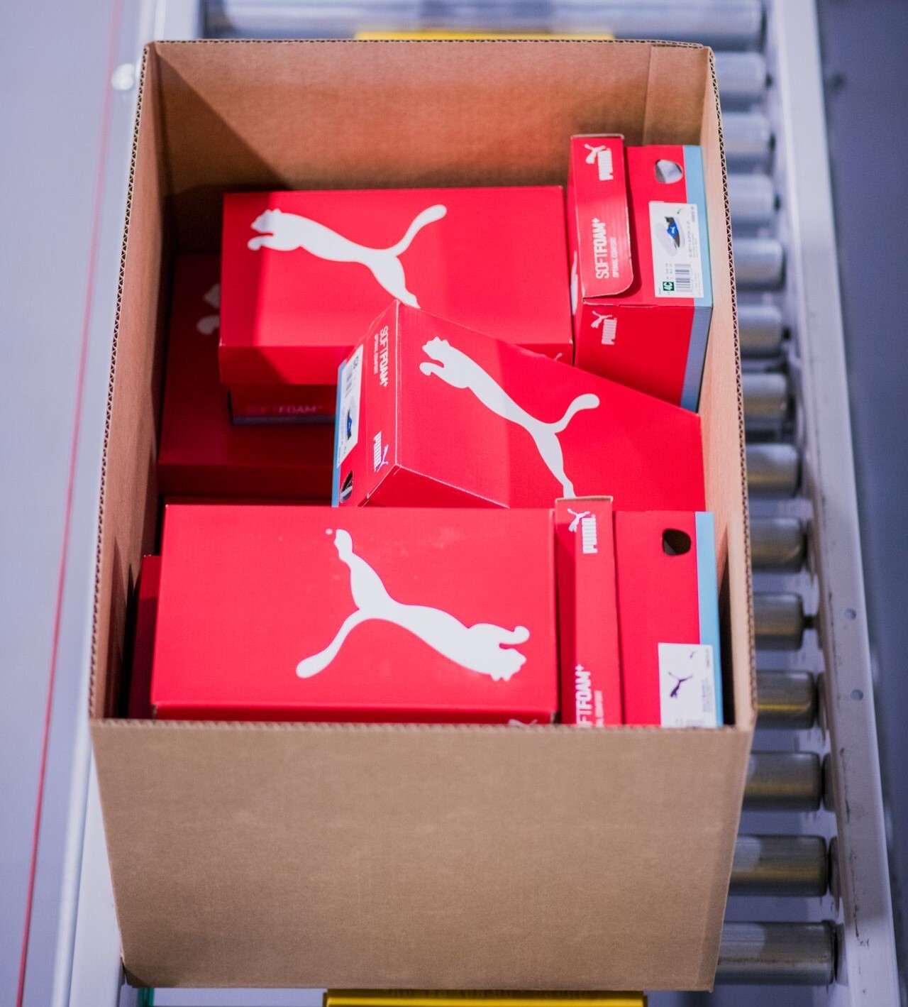 Types of Conveyor Belts