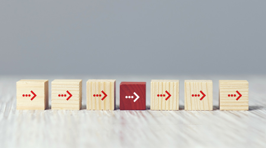 Value and Supply Chain: Differences Unveiled