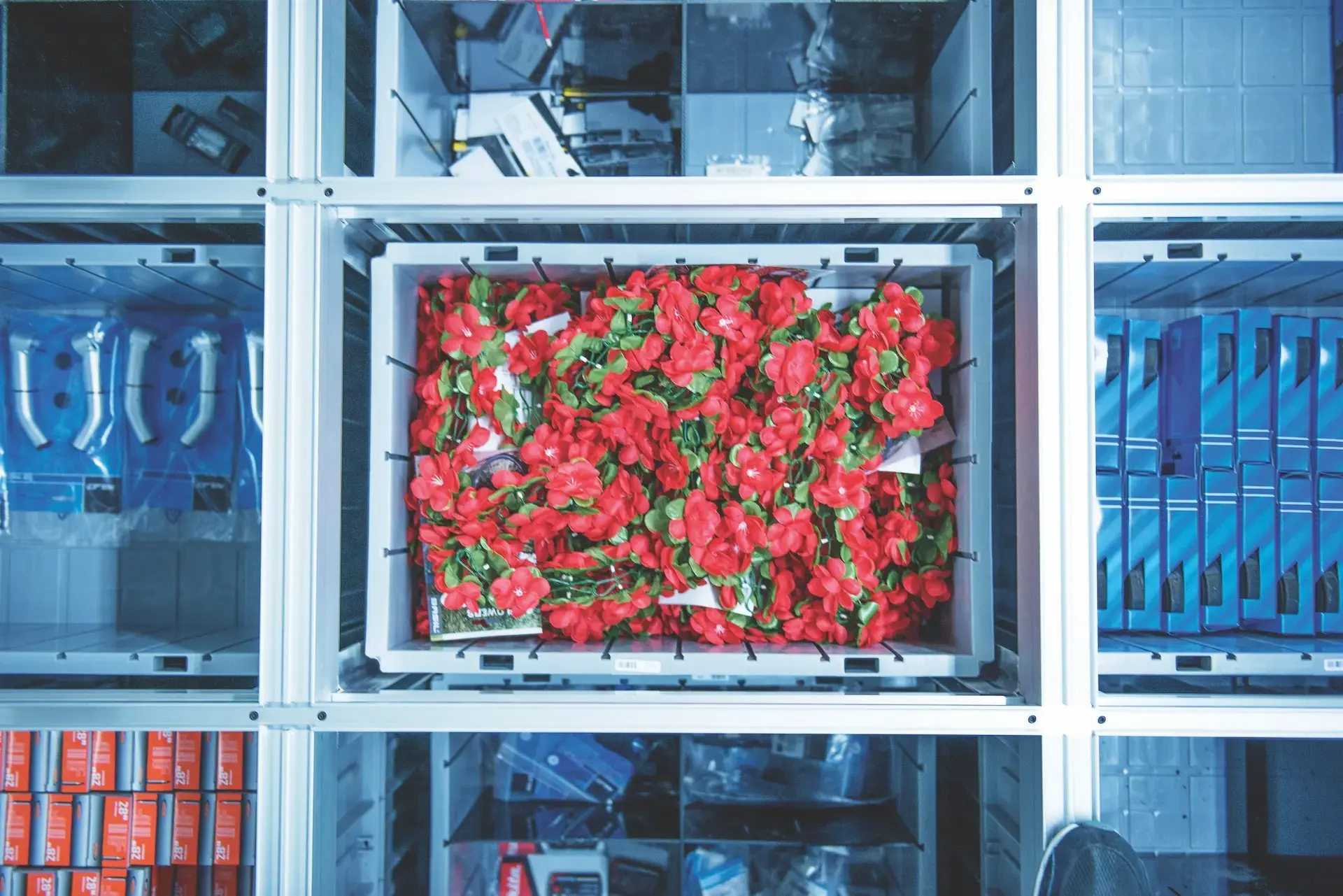 AutoStore Appoints New President to Drive APAC Expansion