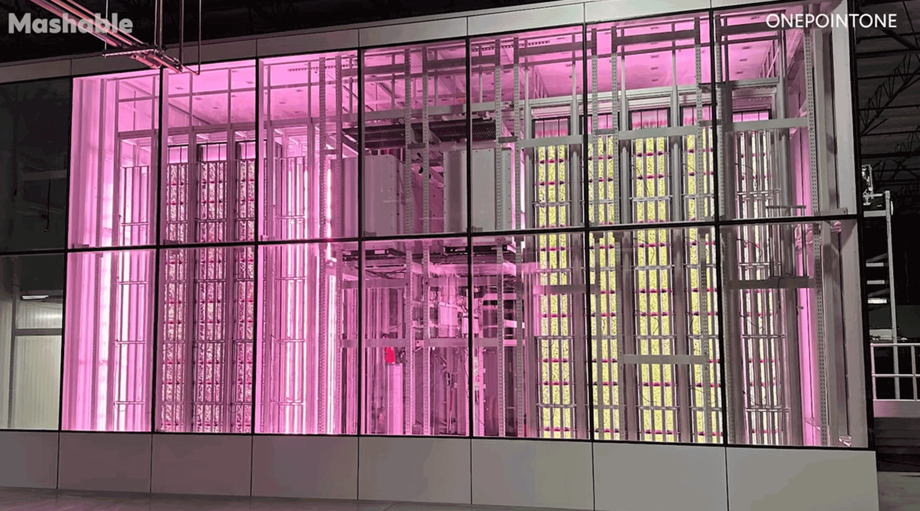 An AutoStore Grid vertical farm