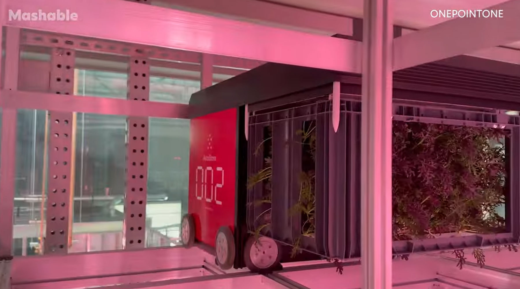 An AutoStore Robot moving leafy greens through vertical farm Grid